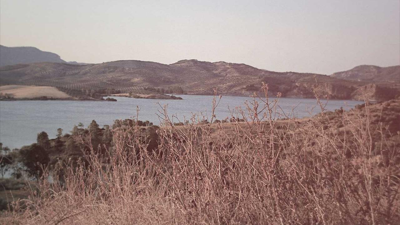 How LogixInventor Designs User-Centric UI/UX for Digital Products Conceptual Visualization