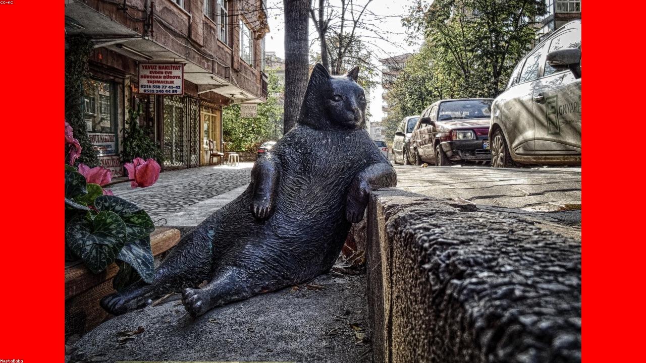 america250 Conceptual Visualization