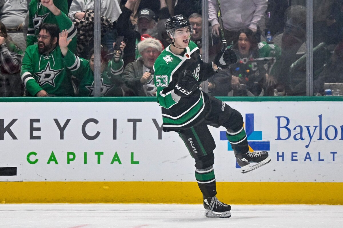 wyatt johnston Conceptual Visualization